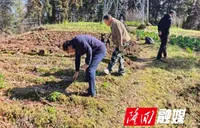 岩口镇田间地头严查毒品原植物 筑牢禁毒“防护网”