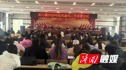 岩口镇多措并举抓实2026年防汛备汛工作