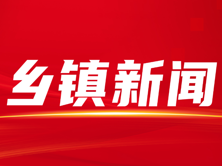 滩头镇开展国家安全教育日集中宣传活动