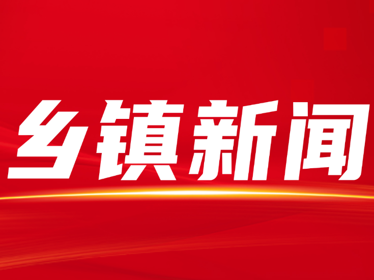 小沙江镇组织老党员开展人居环境整治行动