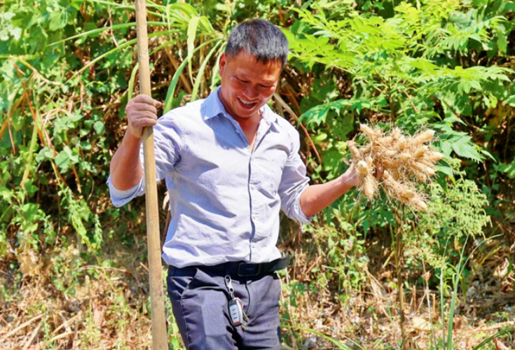 彭华：石头山上刨出致富路