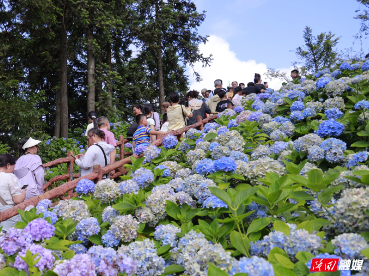 做优高山避暑文章 民俗文旅激活发展动能