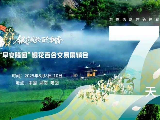 海报丨首届“早安隆回”银花百合交易展销会