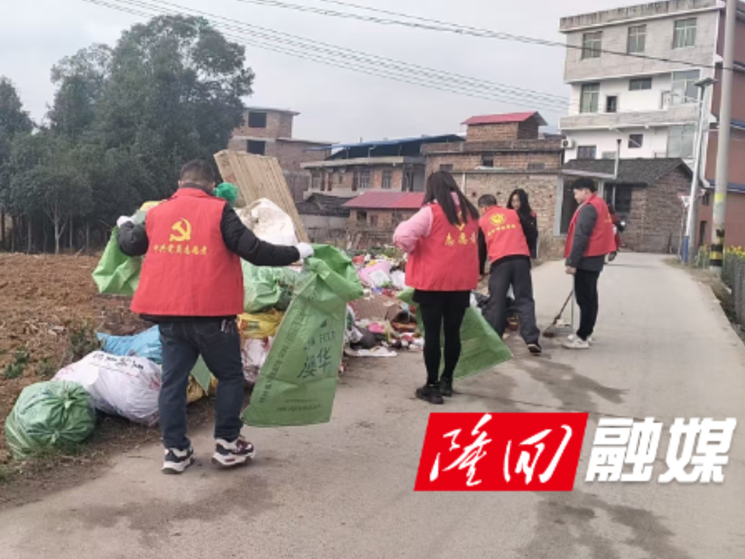 岩口镇：洁净迎新春 党员当先锋洁