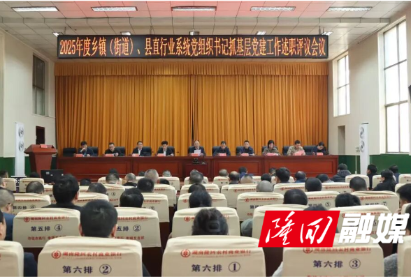 隆回县召开2025年度乡镇（街道）和县直行业系统党（工）委书记抓基层党建工作述职评议会议