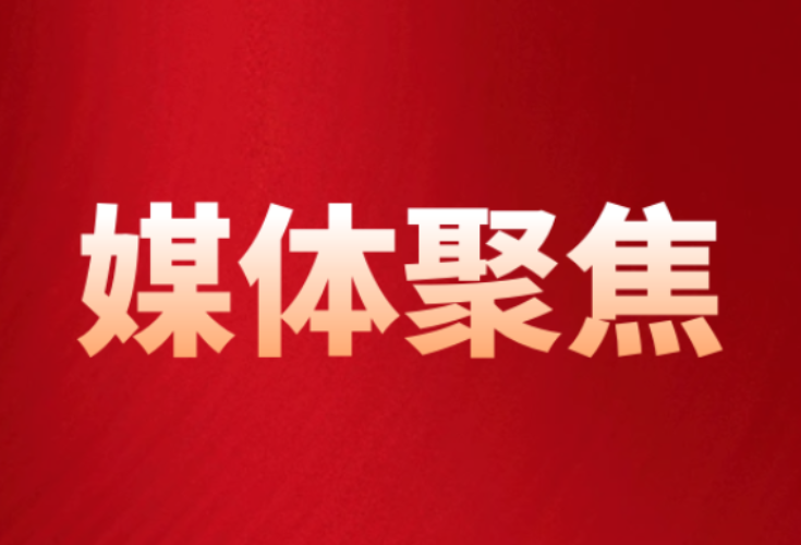 龙舟乘风破浪 观赛文明有序