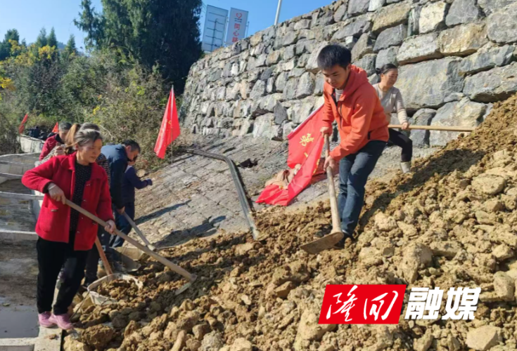 岩口镇向家村组织开展凤凰潭水库引水渠填土志愿活动