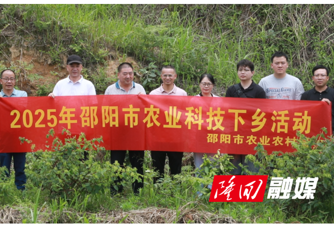 农技专家走进田间地头 助力金银花提质增效