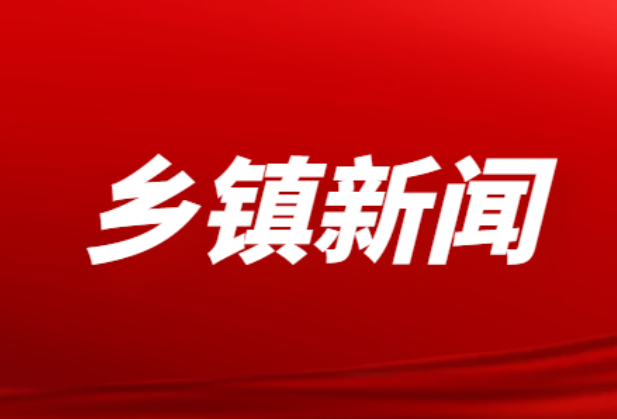 荷田乡卫生院开展65岁以上老年人免费健康体检活动