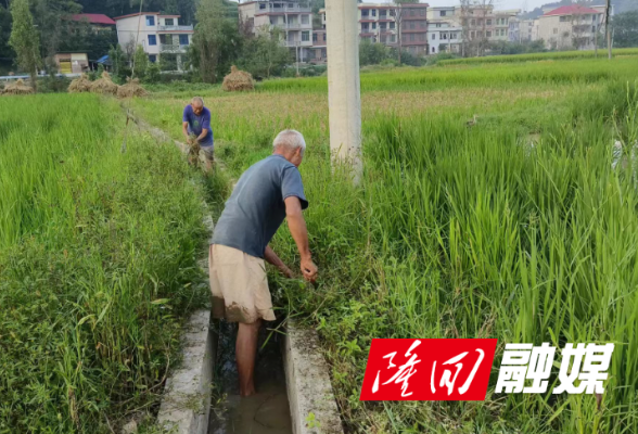 三阁司镇友谊村开展水渠清淤除杂整治工作