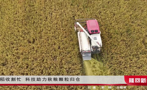 晚稻收割忙 科技助力秋粮颗粒归仓
