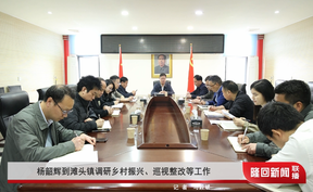 杨韶辉到滩头镇调研乡村振兴、巡视整改等工作