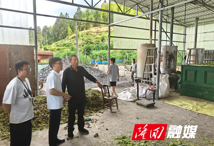 麻塘山乡开展金银花加工厂安全生产检查 筑牢产业安全屏障