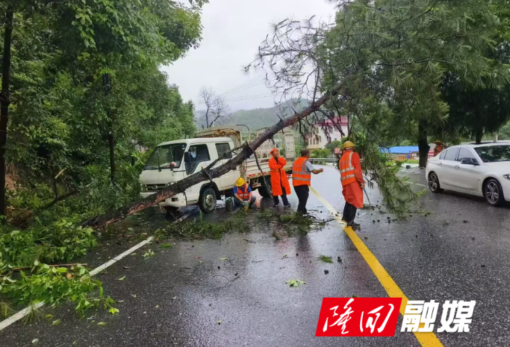 隆回公路：迎战强降雨 全力守护公路安全畅通