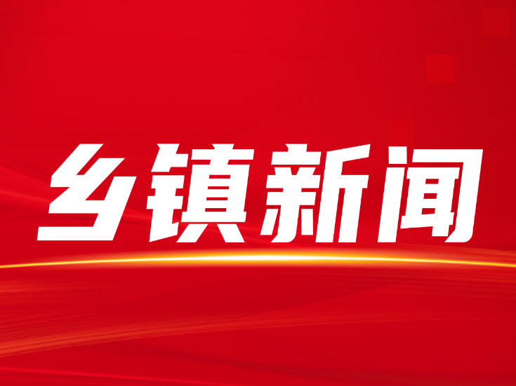 金石桥镇开展制止野生蘑菇售卖巡查活动