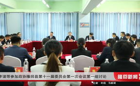 李谋等参加政协隆回县第十一届委员会第一次会议第一组讨论