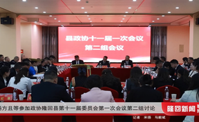 杨方且等参加政协隆回县第十一届委员会第一次会议第二组讨论