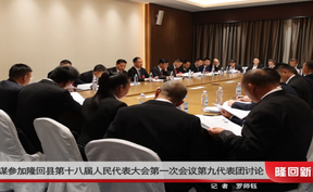 李谋参加隆回县第十八届人民代表大会第一次会议第九代表团讨论
