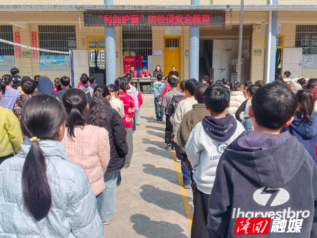 金石桥镇金桥社区走进金桥小学开展“开学第一课”安全主题教育活动