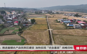 【聚焦两会】政协隆回县十届六次会议  委员议政发言