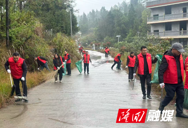 隆回县医保局：坚持党建引领 践行雷锋精神