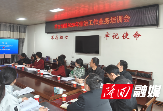 羊古坳镇开展综治业务培训 解锁“数字化”履职新技能