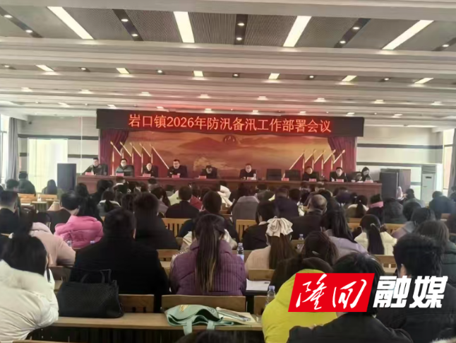岩口镇多措并举抓实2026年防汛备汛工作