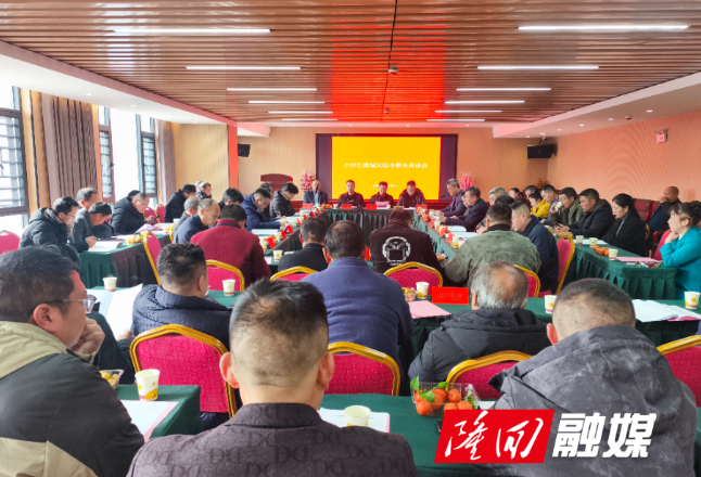 小沙江镇召开镇城区综合整治座谈会