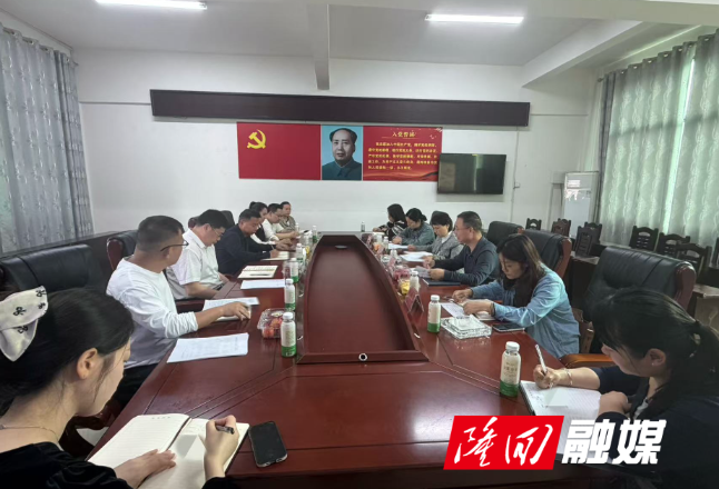 隆回县人大调研组到西洋江镇调研专项资金及代表建议办理工作