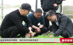 湖南省农科院技术赋能 秸秆利用育秧双提升