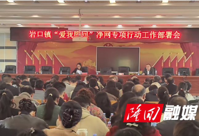 岩口镇召开“爱我隆回”净网专项行动工作部署会