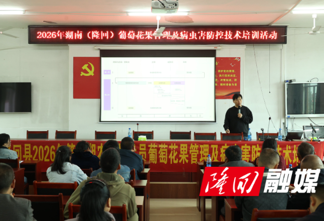 理论实操双赋能 隆回县举办葡萄种植技术专题培训