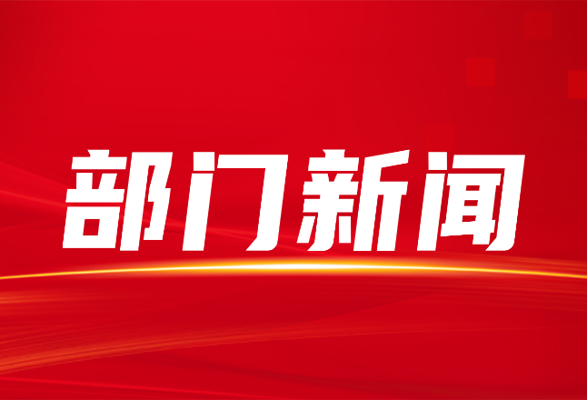 2026年第三届隆回县少先队辅导员专业技能大赛圆满闭幕