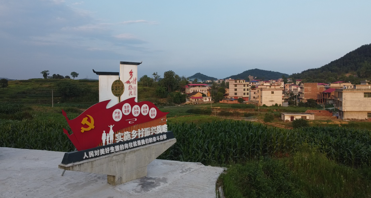图片5.png