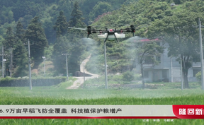 16.9万亩早稻飞防全覆盖 科技植保护粮增产