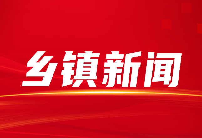 岩口镇开展离退休干部党支部主题党日活动
