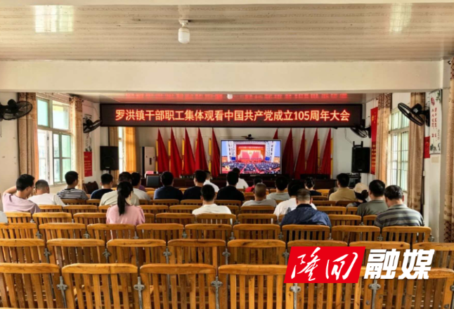 罗洪镇集中观看庆祝中国共产党成立105周年大会直播