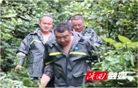 雨雾深山老人走失 高平镇闻令而动紧急救援