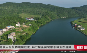 隆回县开展水生生物增殖放流 90万尾鱼苗筑牢水域生态屏障