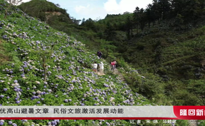 做优高山避暑文章 民俗文旅激活发展动能