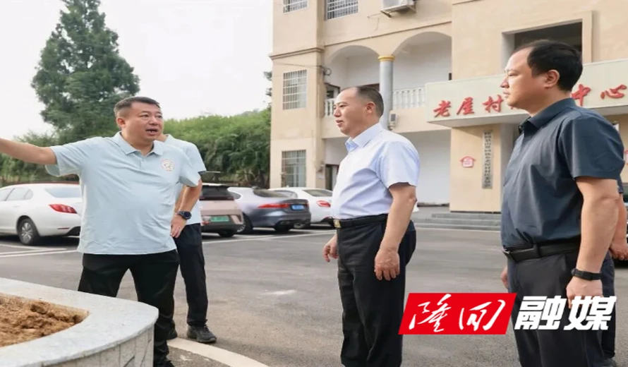 刘厚见、李谋到山界回族乡调研指导基层党组织建设、乡村振兴和项目建设等工作