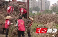 隆回：抓实秸秆清理清运 严守秋季禁烧底线