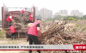 抓实秸秆清理清运 严守秋季禁烧底线