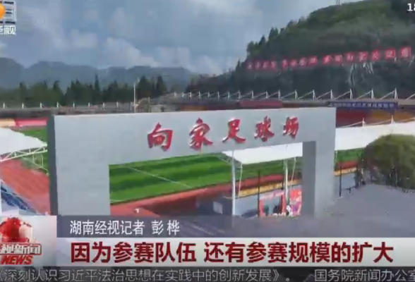 第六届“侨心杯”少年足球邀请赛 国际足球小将汇聚向家村 小山村有了“国际范儿”