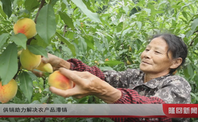 供销助力解决农产品滞销