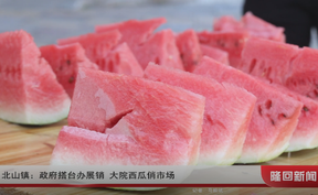 北山镇：政府搭台办展销 大院西瓜俏市场