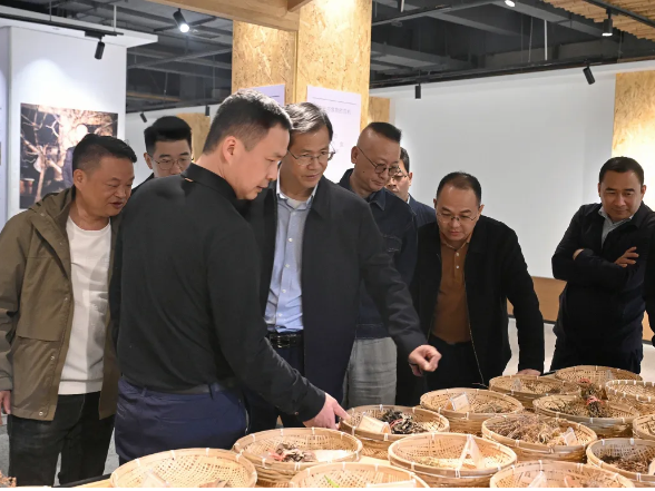 拓思路，谋发展！邹志超带队到荷塘区交流学习