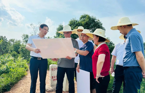 曹慧泉调研长株潭一体化有关工作：树牢“一座城”理念 在推动长株潭一体化发展中彰显更大担当