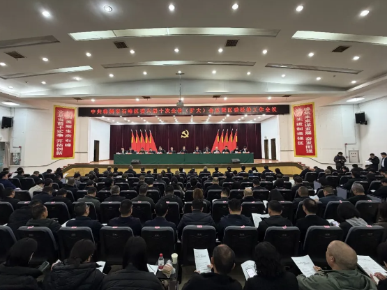 中共株洲市石峰区委六届十次全体（扩大）会议暨区委经济工作会议召开