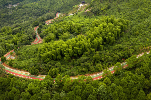 《长株潭生态绿心加快绿色转型发展实施方案》获批